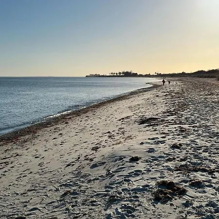 別荘 Hyggeligt Lille Sommerhus Taet Ved Strand *